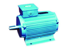 Y-GW系列高温环境用三相异步电动机